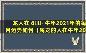 龙人在 🌷 牛年2021年的每月运势如何（属龙的人在牛年2021年 🦈 的运势是如何）